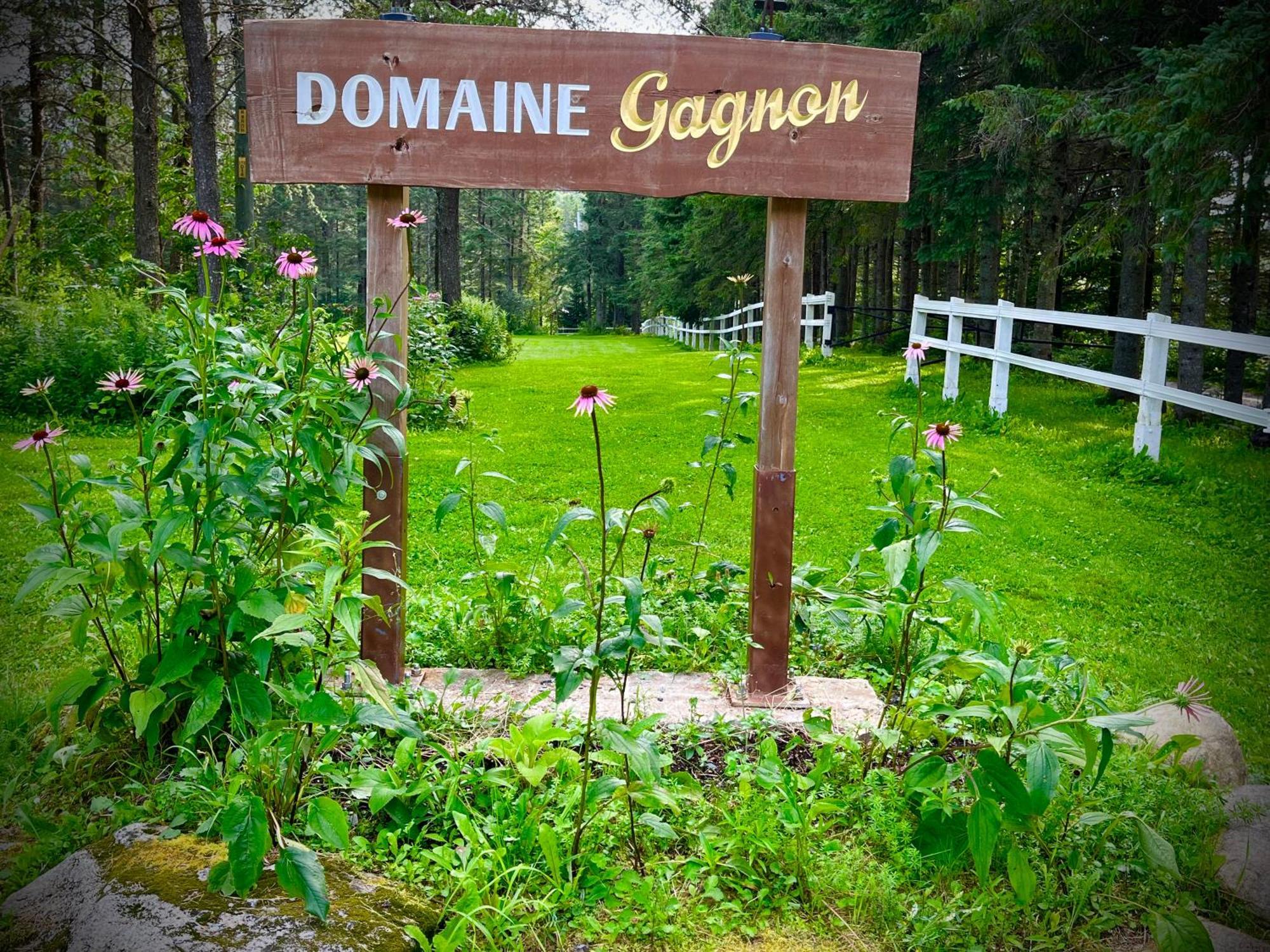 Villa Domaine Gagnon Saint-Sébastien Exterior foto