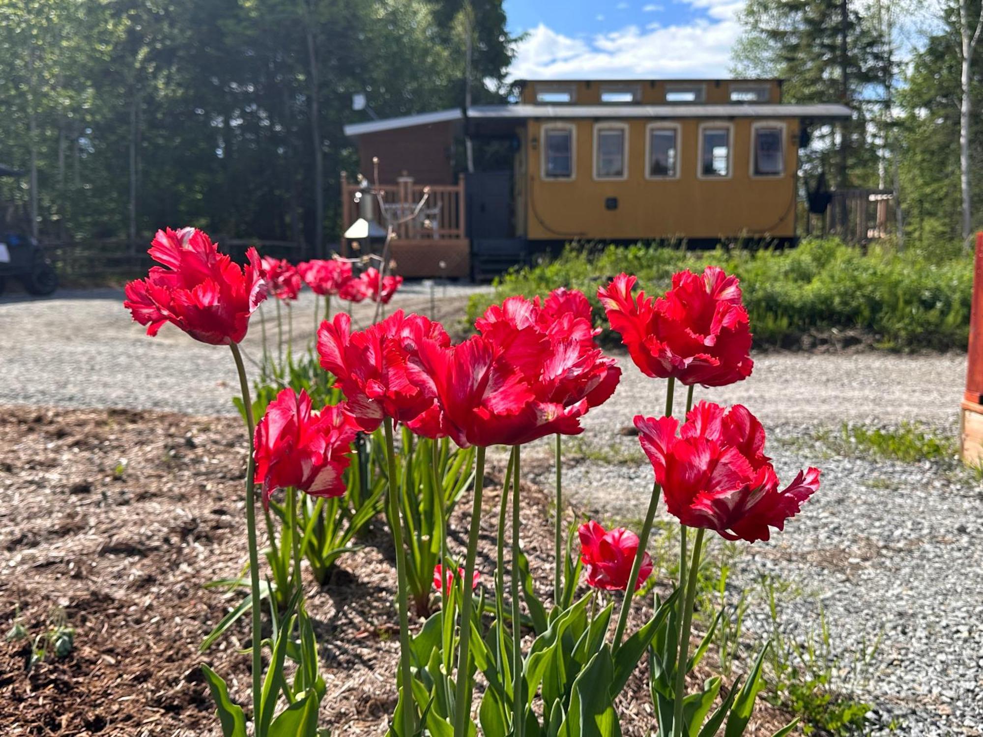 Villa Domaine Gagnon Saint-Sébastien Exterior foto